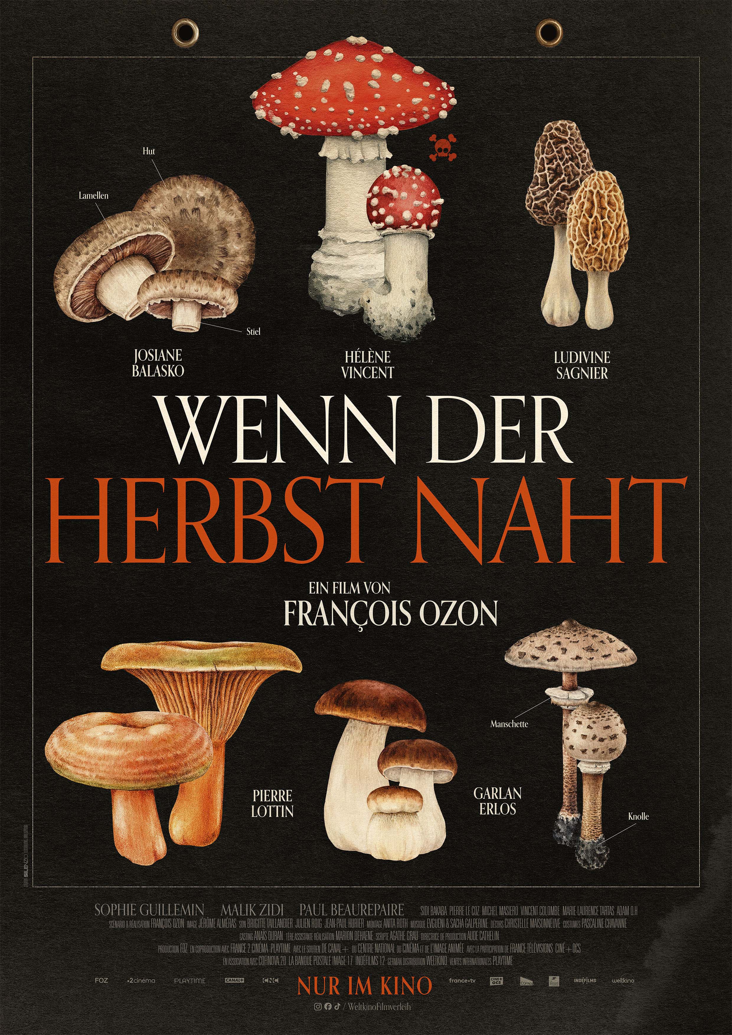FilmReif Plakat 12/2025